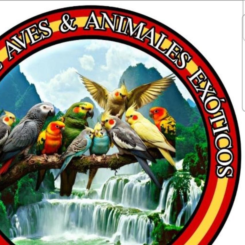 Cesion de Aves y ex&oacute;ticos 