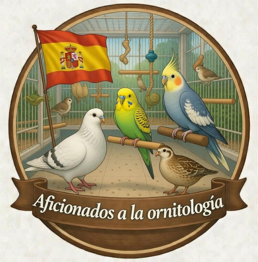 Aficionados a la ornitologia