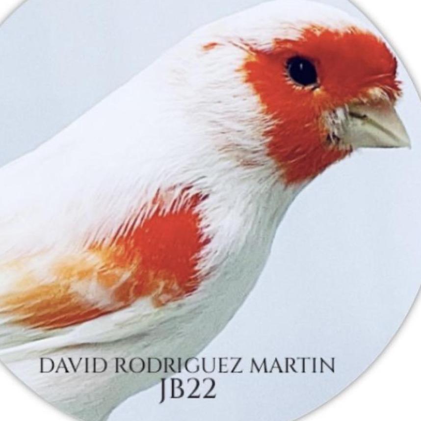 David  Rodriguez Martin 