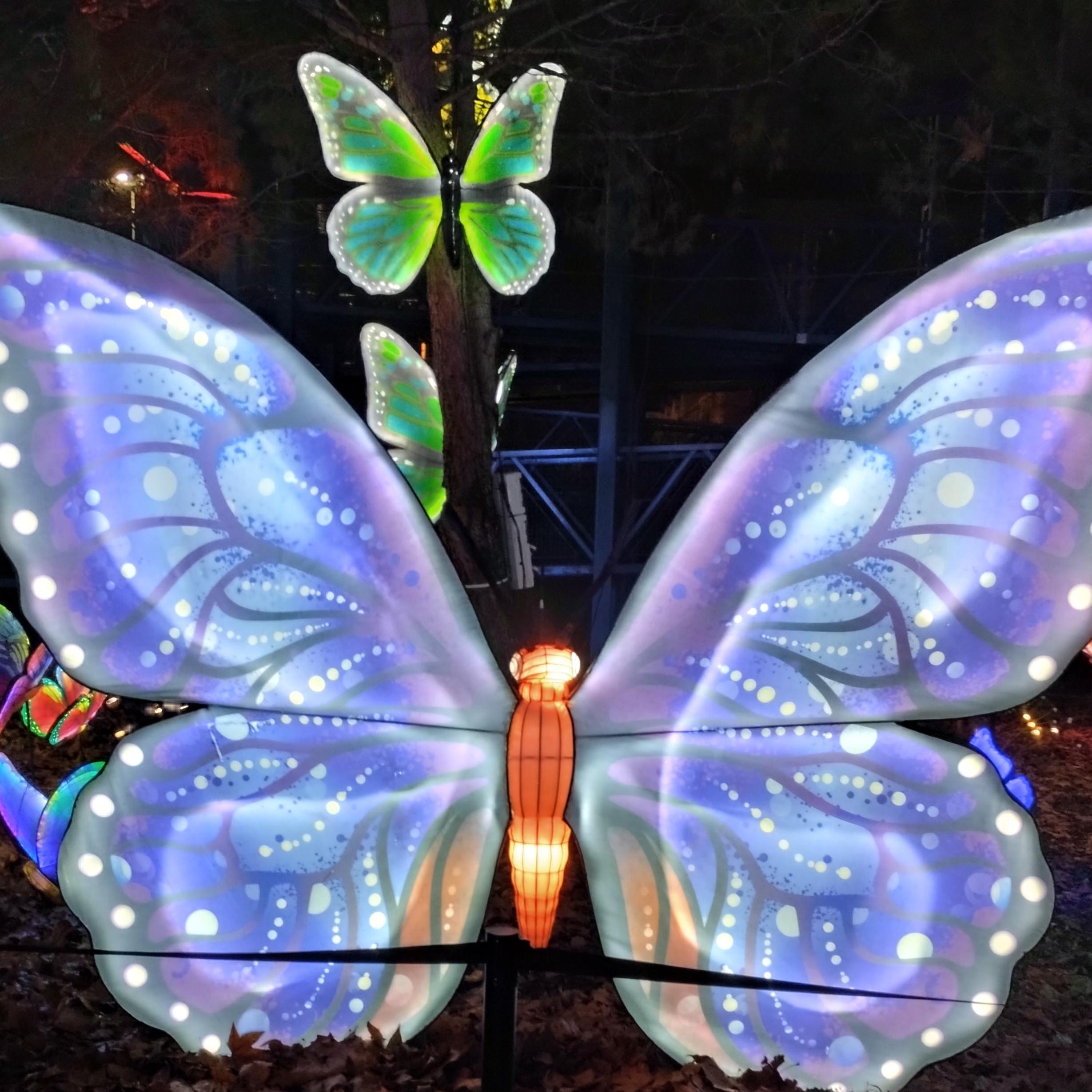 Jos&eacute; Luis Calleja Flores