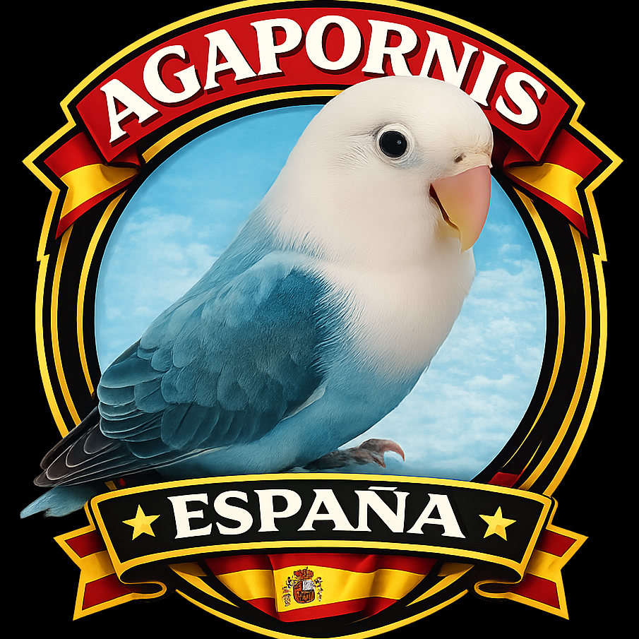 Agapornis Espa&ntilde;a