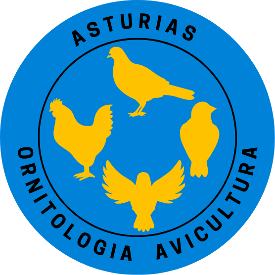 AVES ASTURIAS SOCNAS